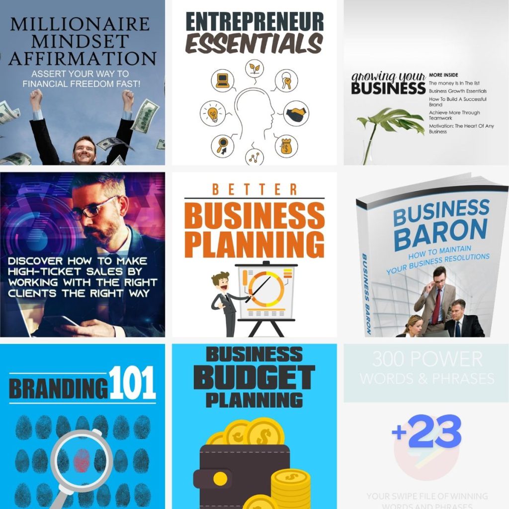 30+1 Business Success Bundle